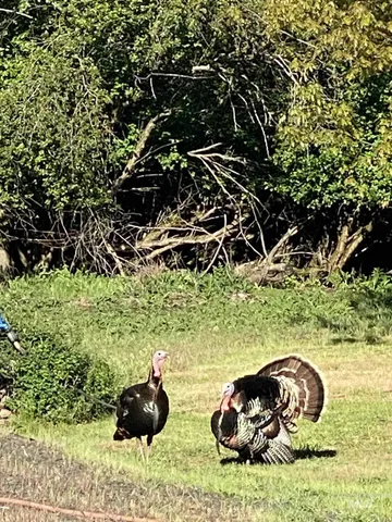 $379,000 | 112 Tum A Lum, Pomeroy, WA 99347