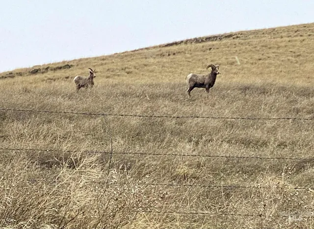 $379,000 | 112 Tum A Lum, Pomeroy, WA 99347