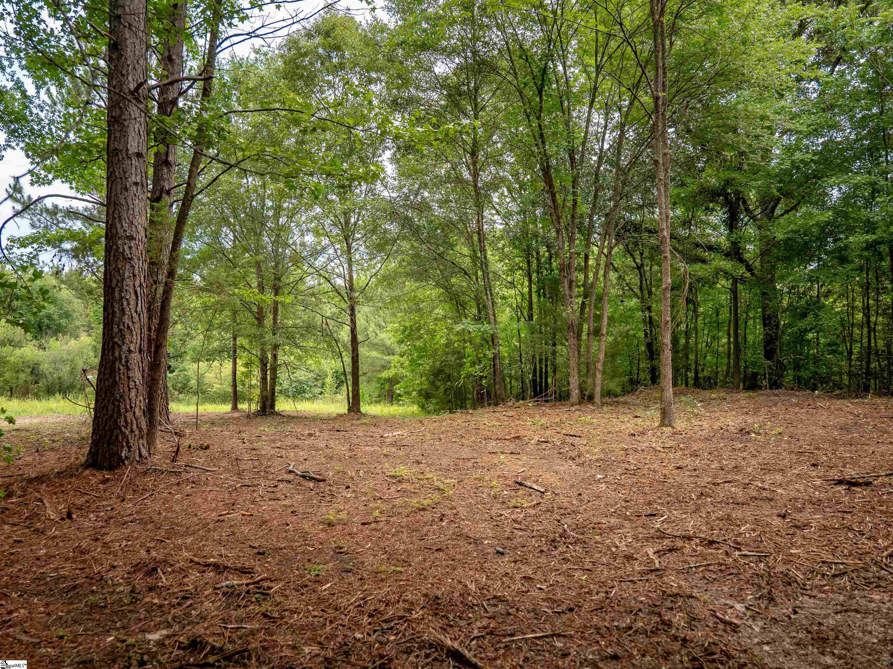 0 Terry Road, Unit LOT 7 Fountain Inn, SC 29644 - Photo 23 of 32 Gallery Image 23