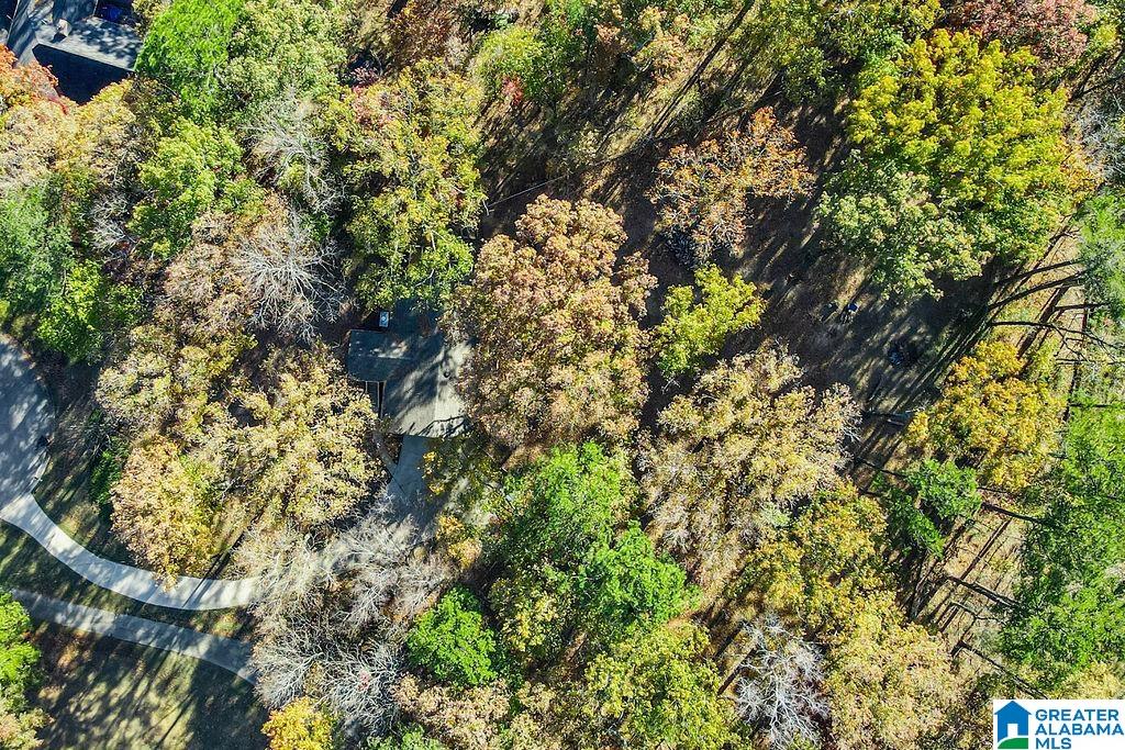 1226 Dunham Lane Helena, AL 35080 - Photo 59 of 62
