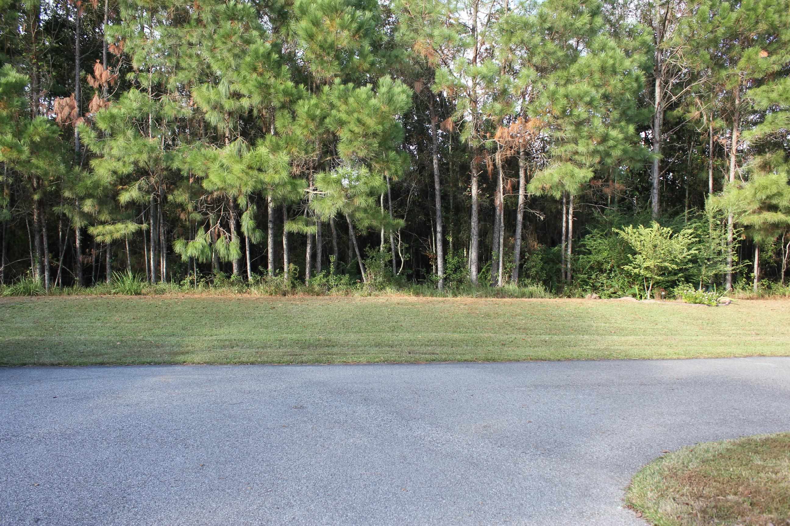 1004 Wyld Palms Drive, Unit 1004 Foley, AL 36535 - Photo 33 of 35