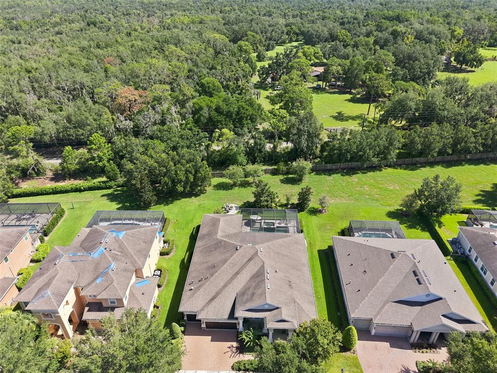 15512 Mossy Ridge Lane Lithia, FL 33547 - Photo 52 of 59