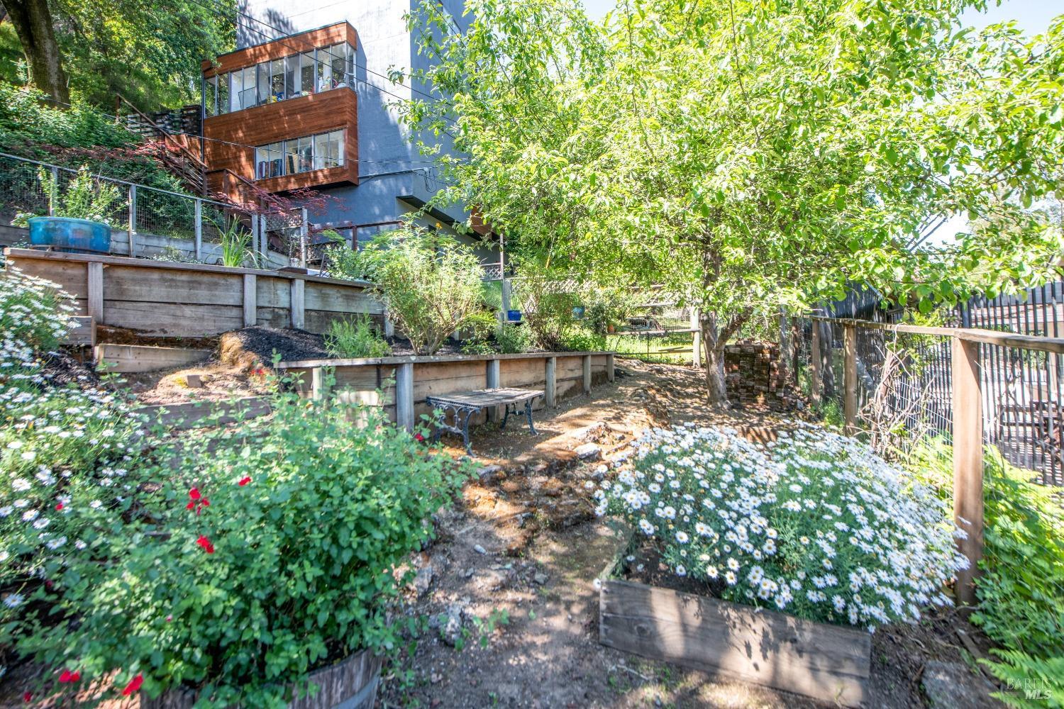 251 West End Avenue San Rafael, CA 94901 - Photo 29 of 35 a view of yard with green space
