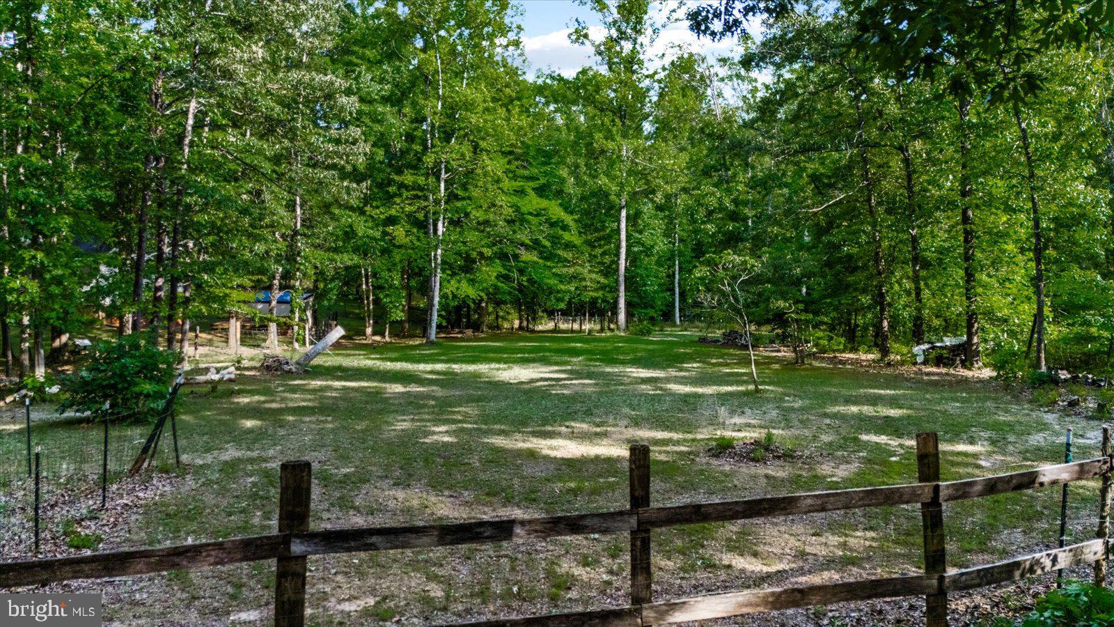 804 Buggy Lane Rochelle, VA 22738 - Photo 41 of 50 a view of a tree in a yard