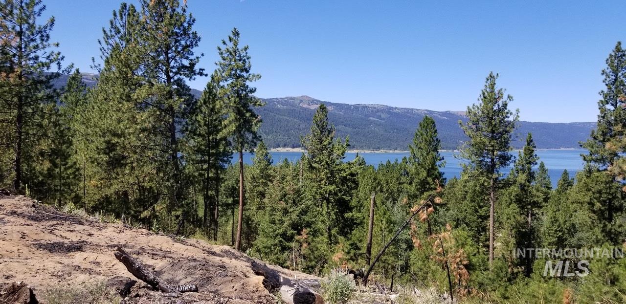 0 Lakeshore Drive Cascade, ID 83611 - Photo 2 of 6