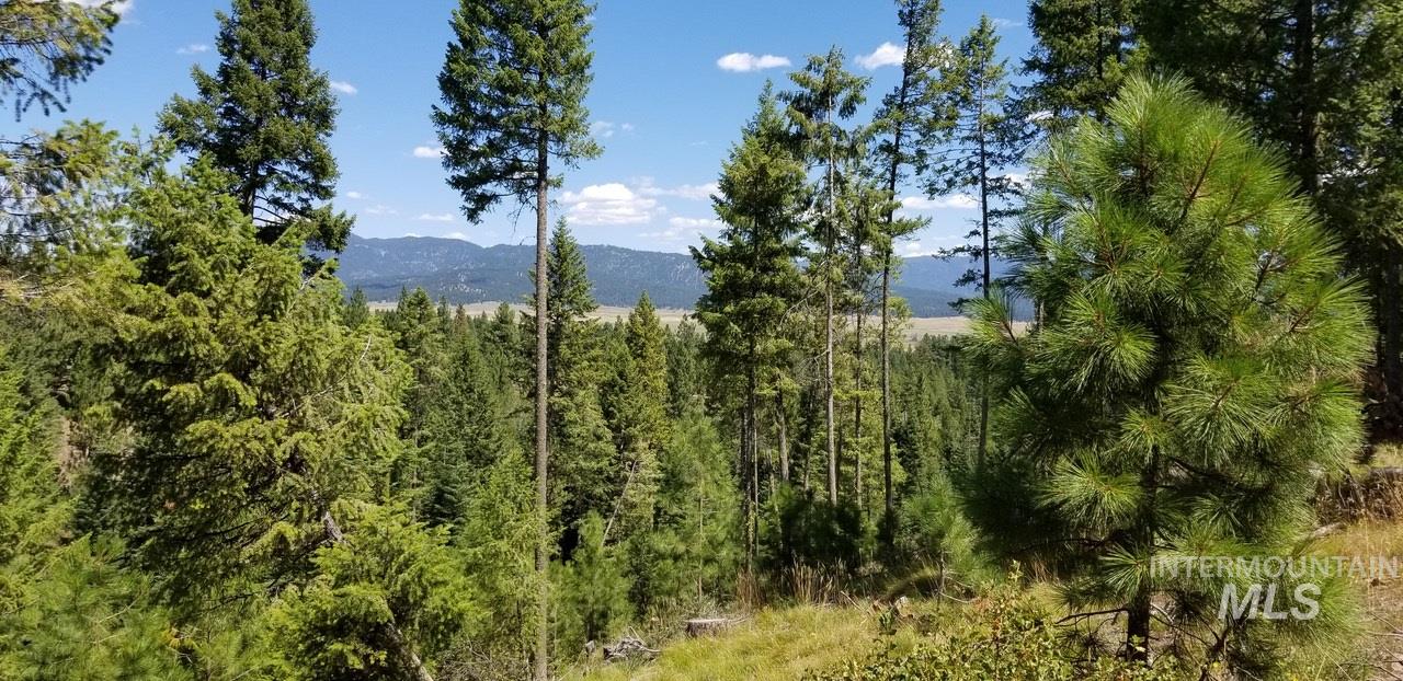 0 Lakeshore Drive Cascade, ID 83611 - Photo 4 of 6