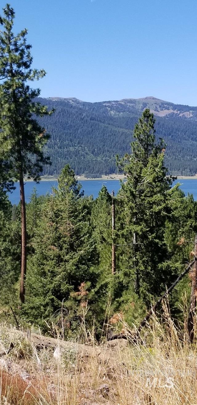 0 Lakeshore Drive Cascade, ID 83611 - Photo 5 of 6