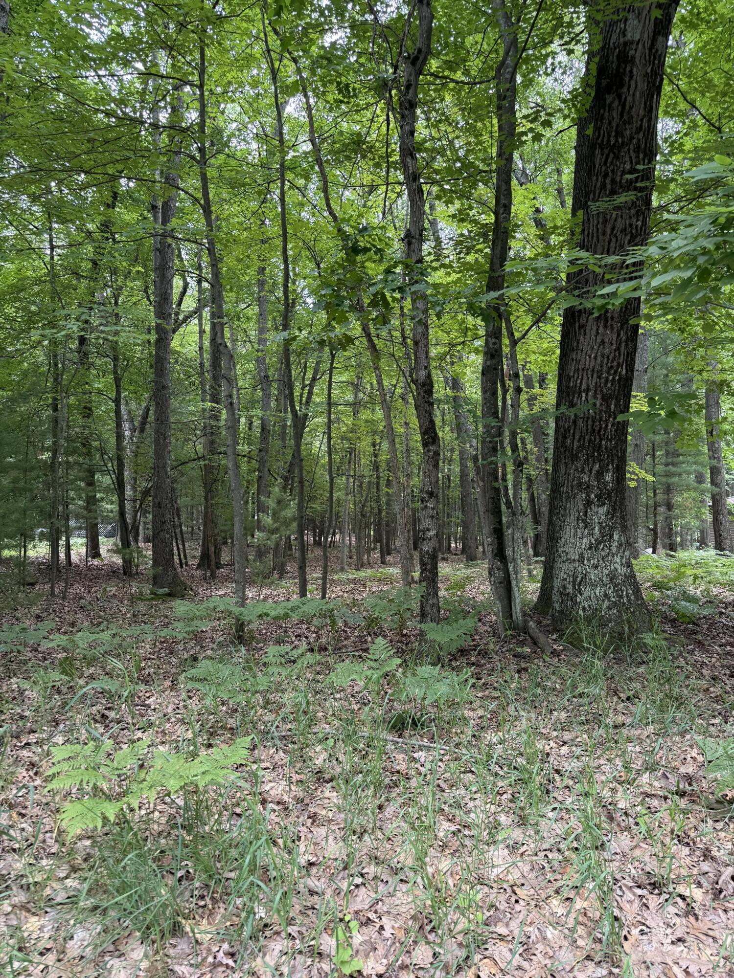 Lot 127 Wayne Road Pentwater, MI 49449 - Photo 2 of 5 IMG_4336