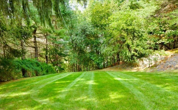 25 Cedar Hill Road Dover, MA 02030 - Photo 3 of 26