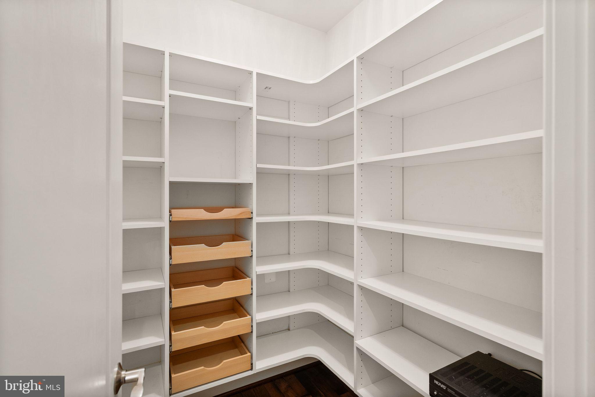 7534 Red Hill Drive Springfield, VA 22153 - Photo 50 of 90 a view of walk in closet with empty racks