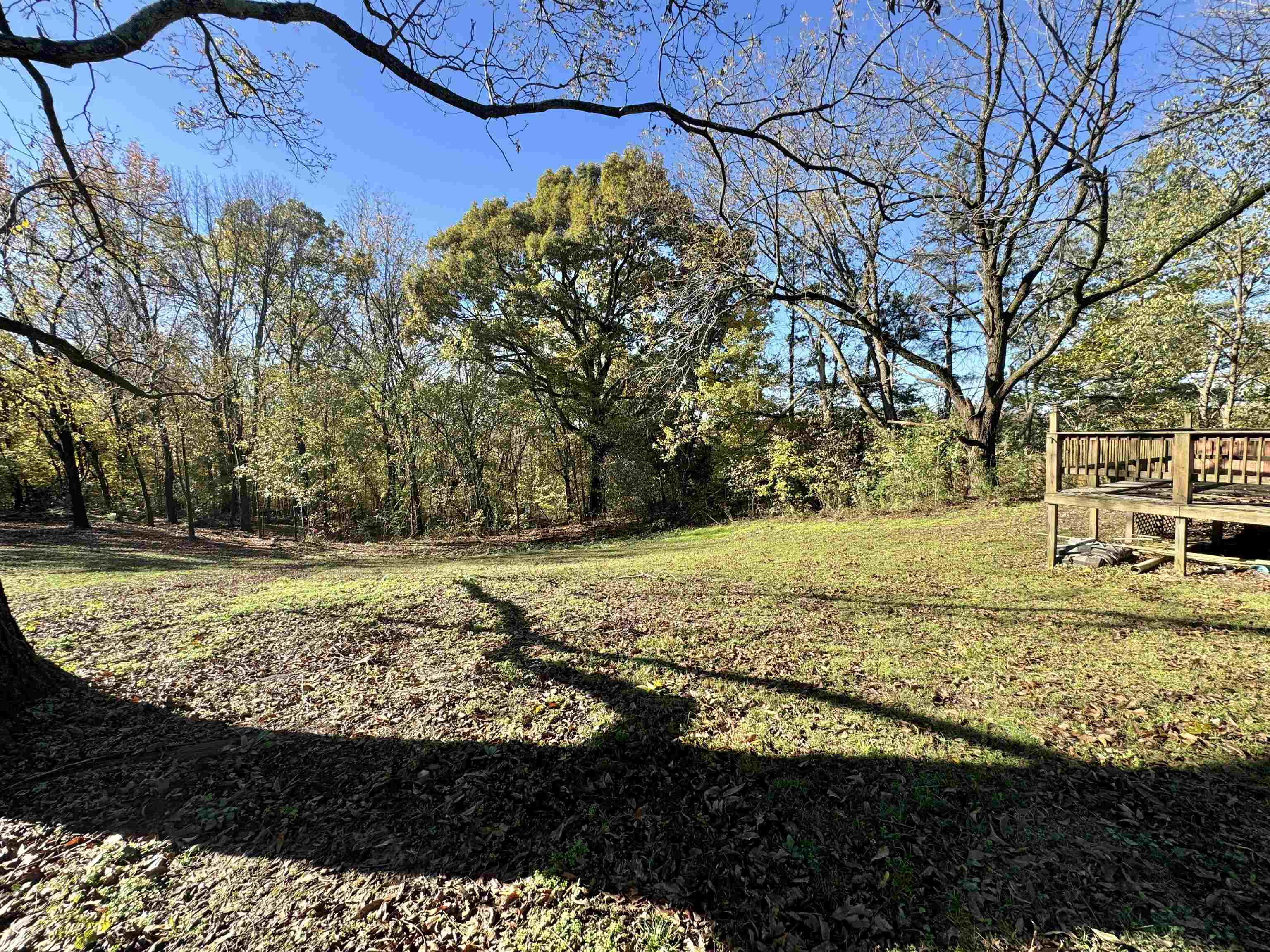 35 Ellis Loop Ripley, TN 38063 - Photo 16 of 18 a view of a yard with wooden fence