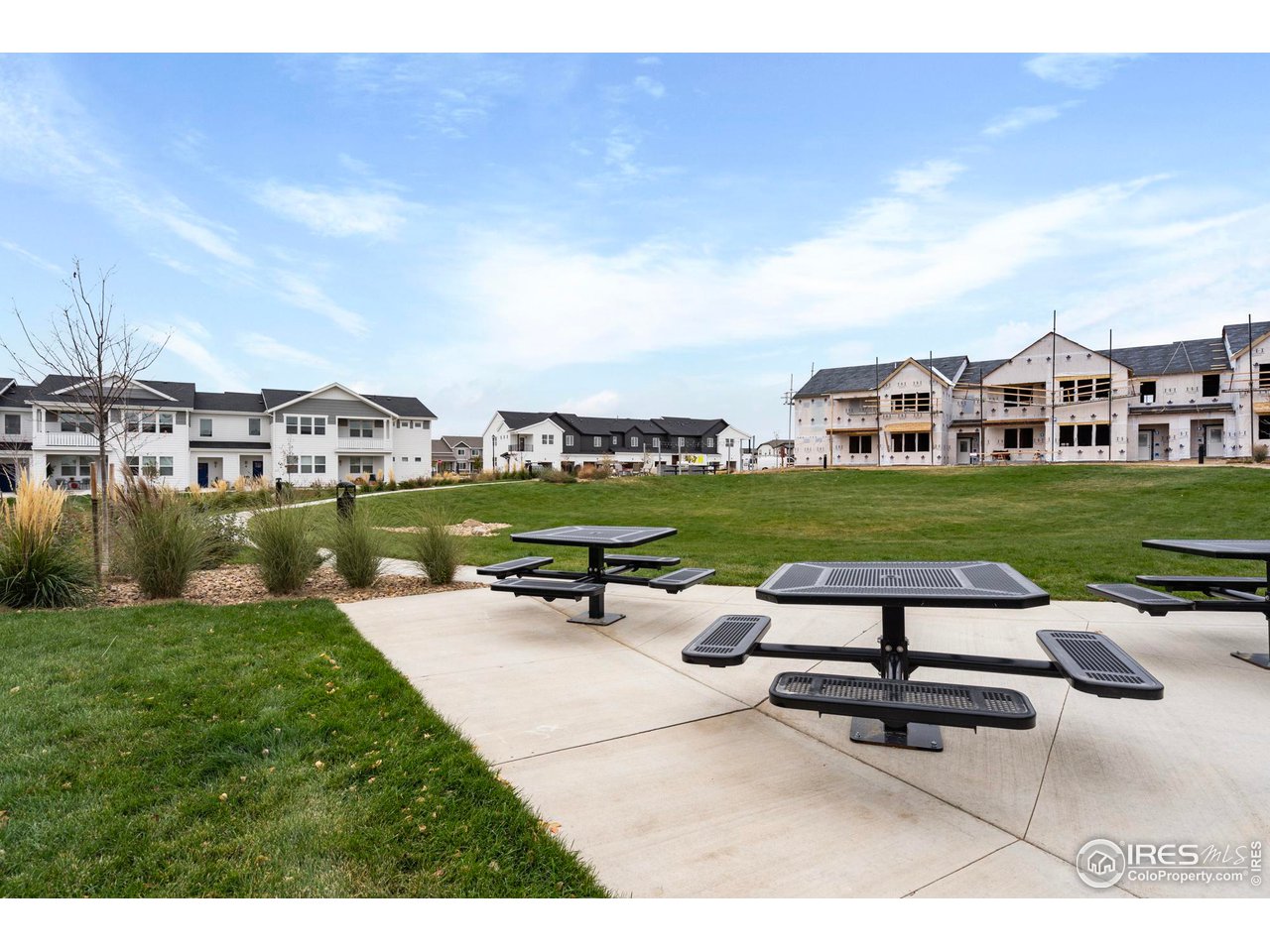 2110 Setting Sun Drive, Unit 1 Windsor, CO 80550 - Photo 34 of 36