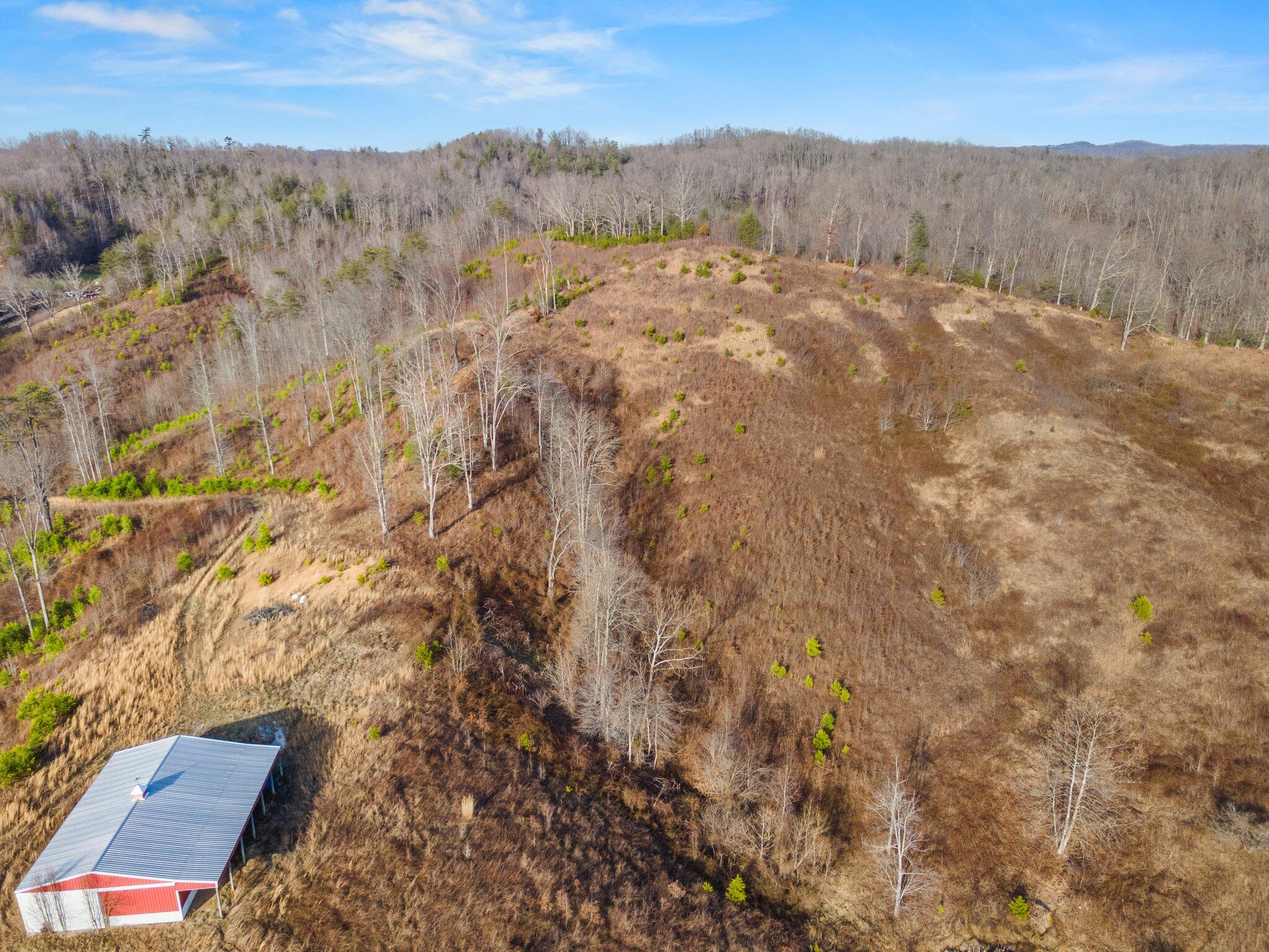 101 Rexville Road Hazel Green, KY 41332 - Photo 19 of 36 12-web-or-mls-DJI_0156