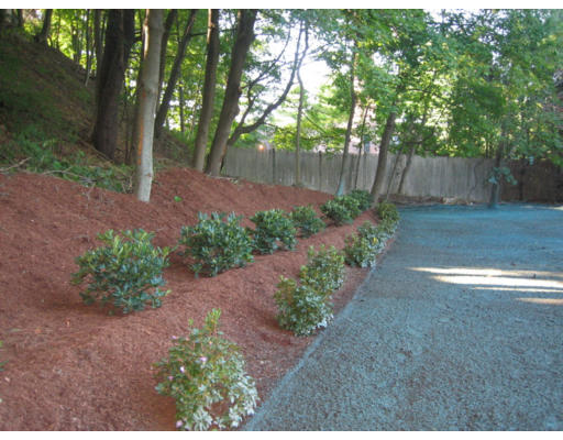 59 Longfellow Road Newton, MA 02462 - Photo 10 of 11