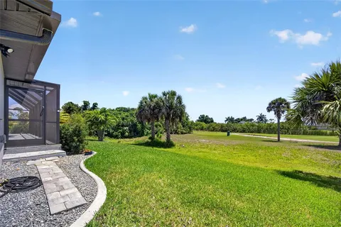 a view of a garden with a tree