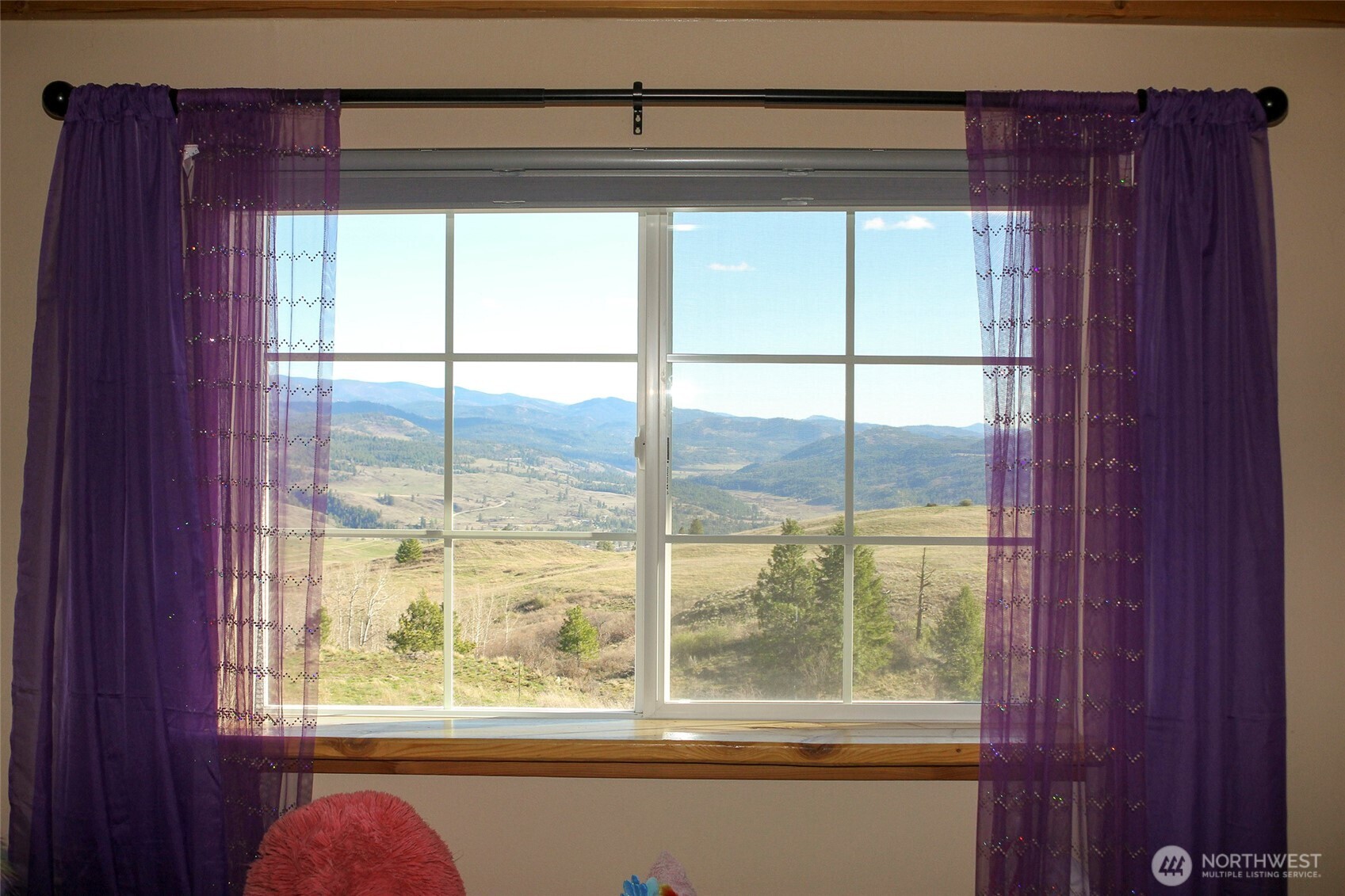 299 Vulcan Mountain Road Curlew, WA 99118 - Photo 16 of 40