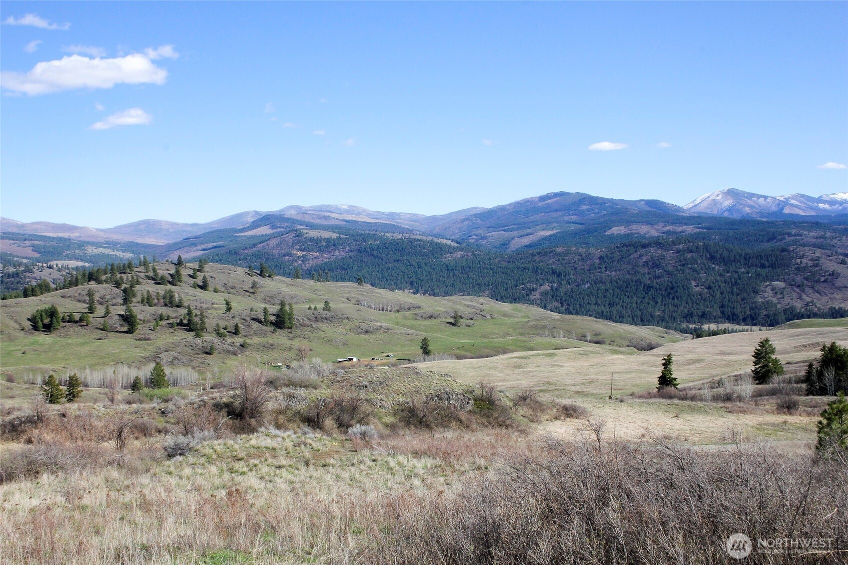299 Vulcan Mountain Road Curlew, WA 99118 - Photo 38 of 40