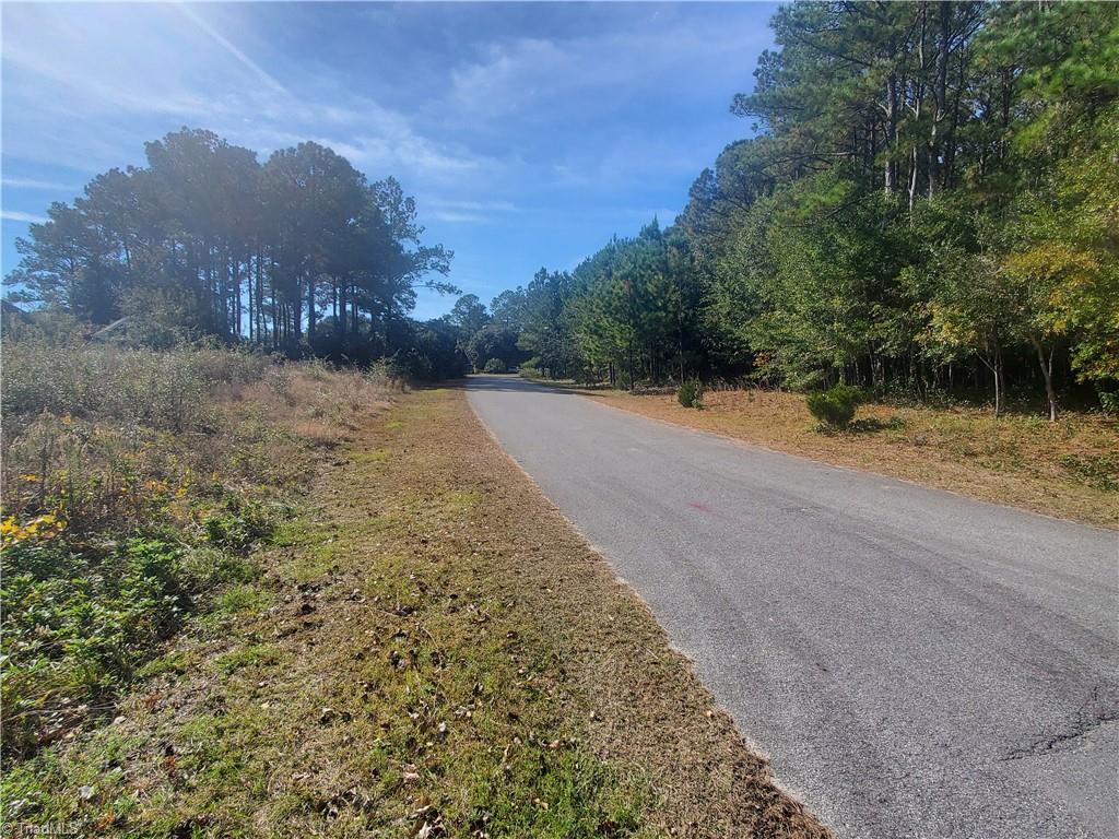 204 Rudder Lane Sneads Ferry, NC 28460 - Photo 37 of 44