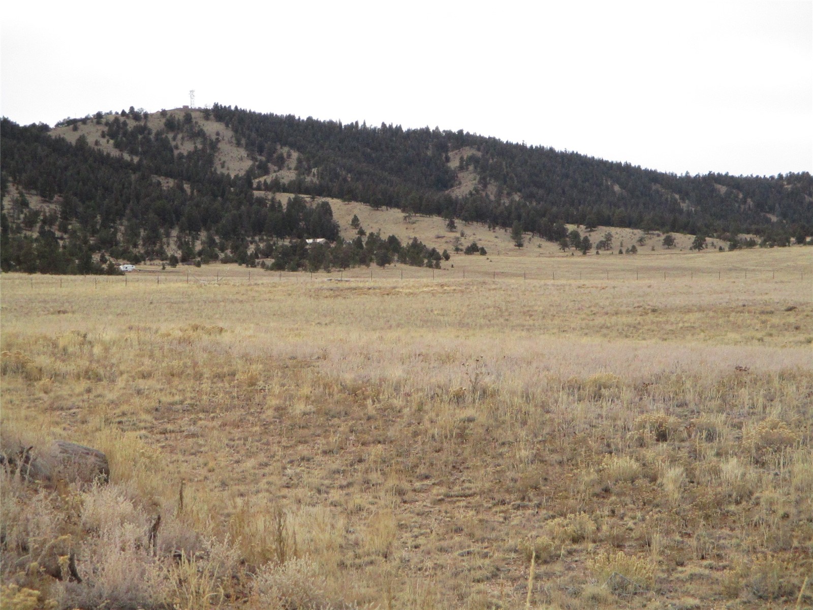 729 Mesa Road Hartsel, CO 80449 - Photo 6 of 11 Gallery Image 6