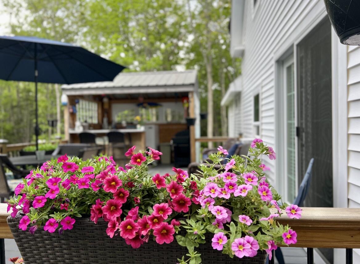 36 Greenlaw District Road Deer Isle, ME 04627 - Photo 2 of 21 C43D3657-8717-4AA3-BFEE-AE7234DD01F0