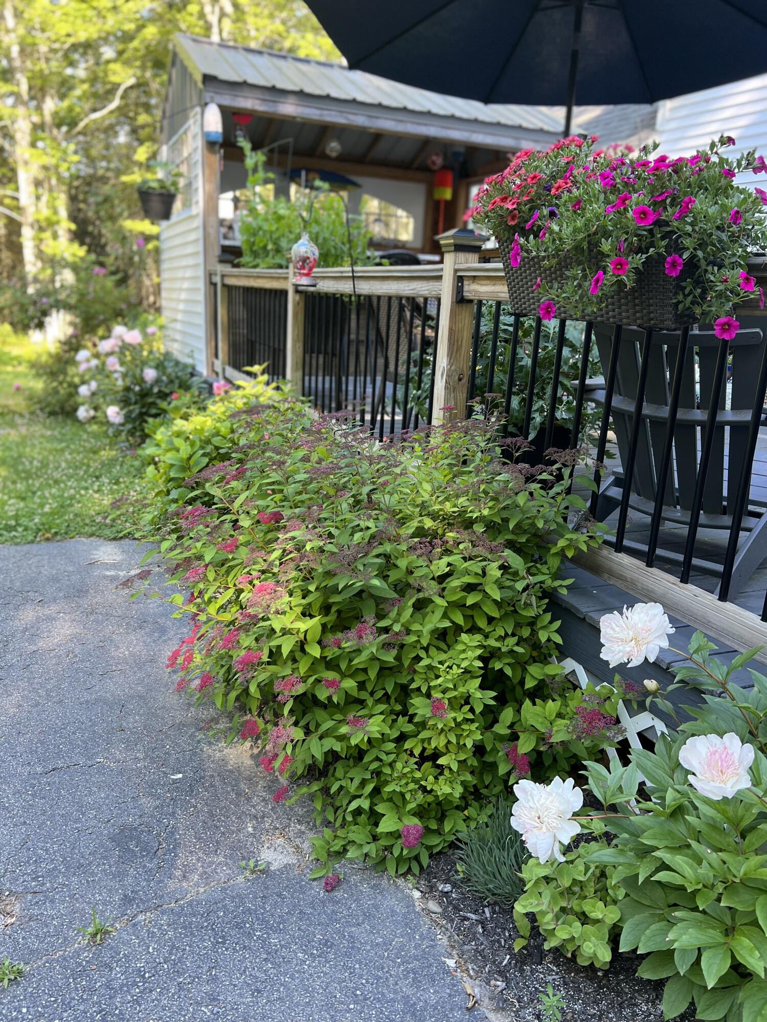 36 Greenlaw District Road Deer Isle, ME 04627 - Photo 8 of 21 4F5D2E03-0A1E-4DB3-93BB-B5D93A6F2855