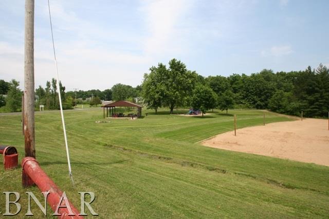 37 Roxbury Road Mackinaw, IL 61755 - Photo 9 of 15