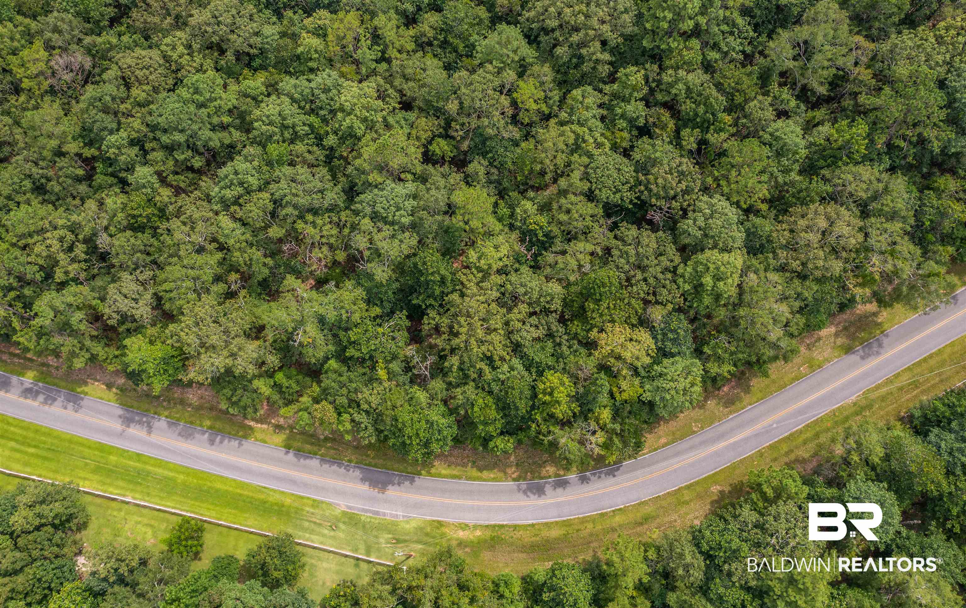 0 Patricks Ldg Road Bay Minette, AL 36507 - Photo 12 of 13