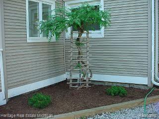 1512 Faussett Road Howell, MI 48855 - Photo 15 of 16 rear landscaping