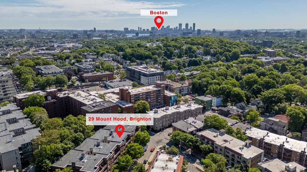 29 Mt Hood Road, Unit 8 Boston, MA 02135 - Photo 3 of 29