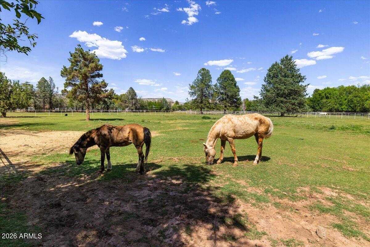 4000 Mahoney Road, Unit 1 Camp Verde, AZ 86322 - Photo 7 of 41 a lake view with a bench
