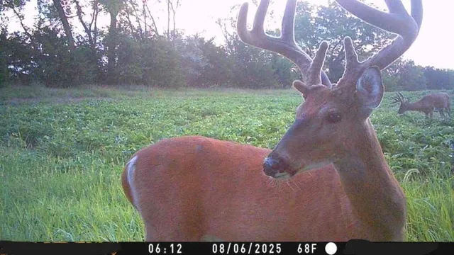 $10,000 | 2 Private Drive 3394 Drive, Savannah, MO 64485