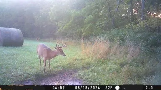 $10,000 | 2 Private Drive 3394 Drive, Savannah, MO 64485