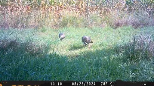 $10,000 | 2 Private Drive 3394 Drive, Savannah, MO 64485