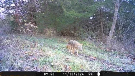 $10,000 | 2 Private Drive 3394 Drive, Savannah, MO 64485