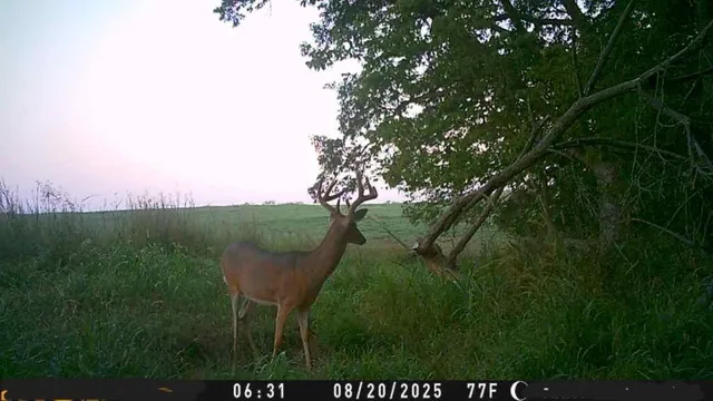 $10,000 | 2 Private Drive 3394 Drive, Savannah, MO 64485