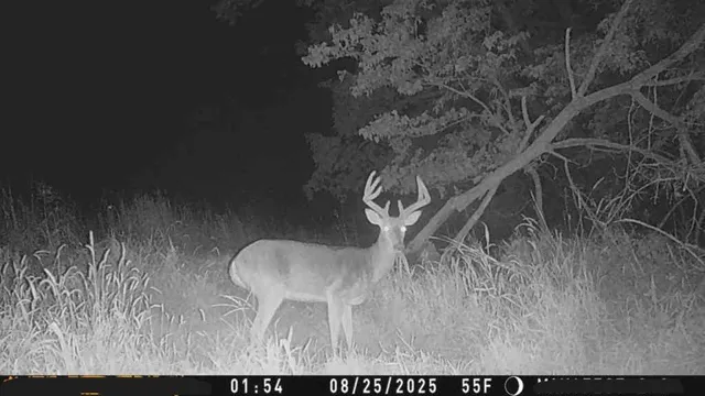 $10,000 | 2 Private Drive 3394 Drive, Savannah, MO 64485