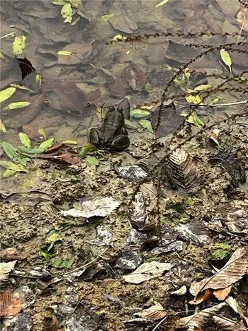 $10,000 | 2 Private Drive 3394 Drive, Savannah, MO 64485