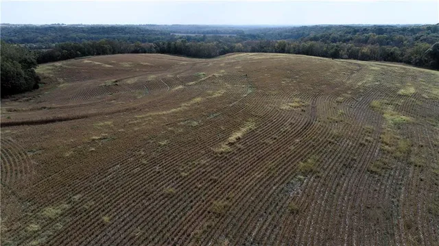 $10,000 | 2 Private Drive 3394 Drive, Savannah, MO 64485