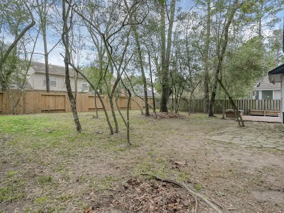 a view of a yard with a tree