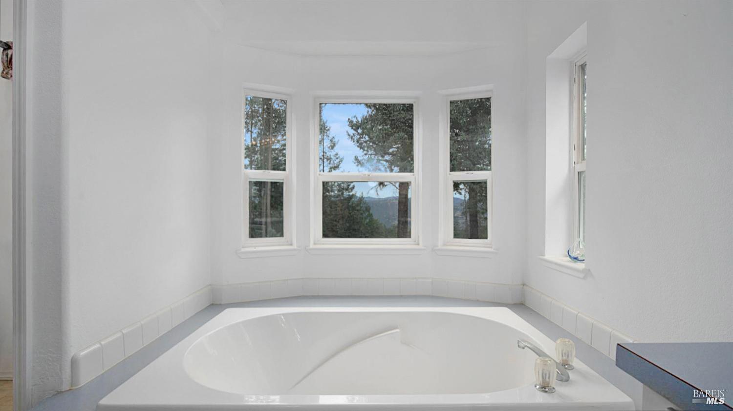 505 McNair Road Cloverdale, CA 95425 - Photo 27 of 55 a white bath tub sitting next to a window