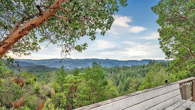 a view of mountain view with lots of trees
