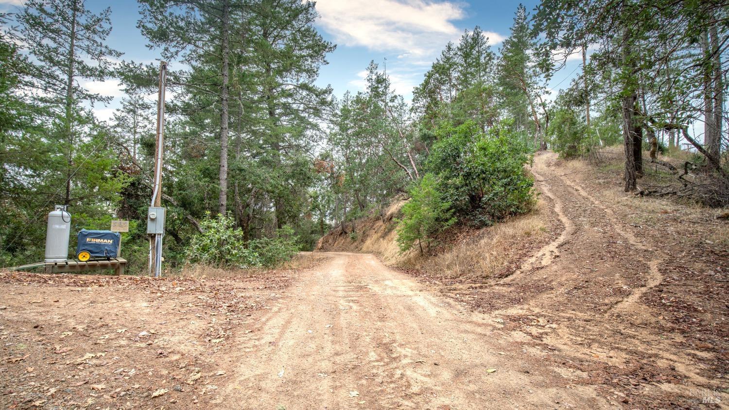 505 McNair Road Cloverdale, CA 95425 - Photo 42 of 55 a view of a forest with trees in the background