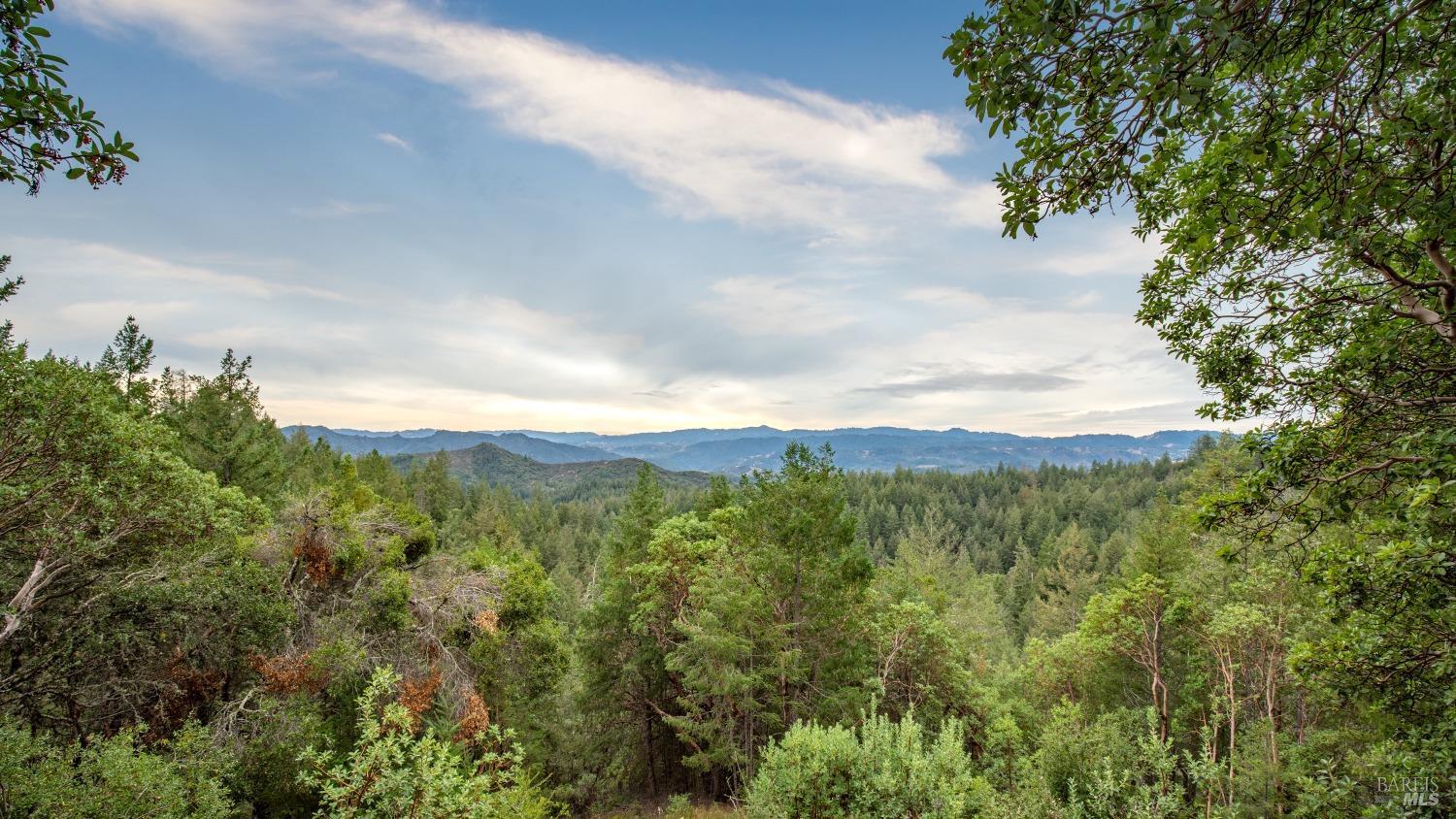 505 McNair Road Cloverdale, CA 95425 - Photo 43 of 55 a view of mountain view with lots of trees