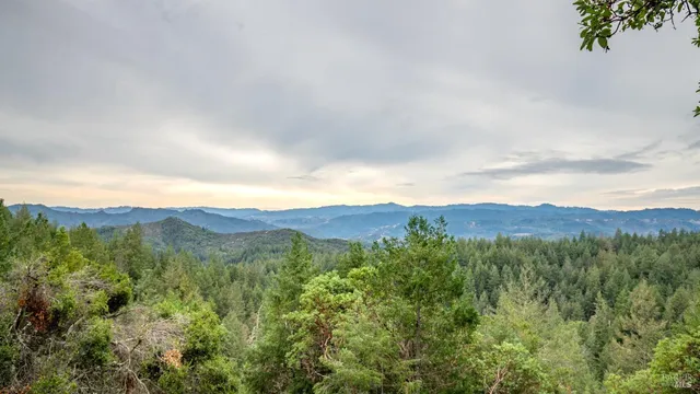 an aerial view of a house with a yard and a yard
