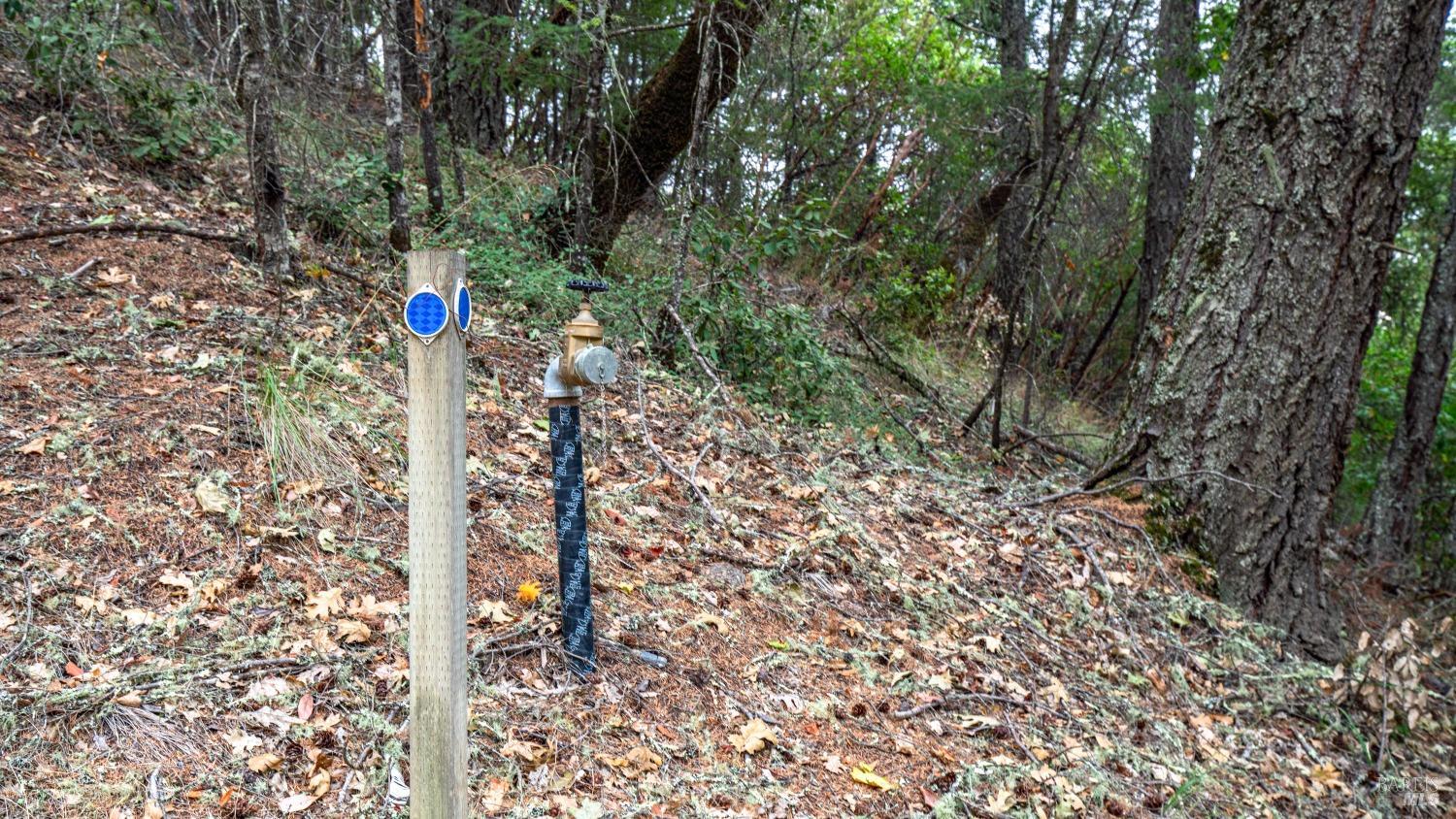 505 McNair Road Cloverdale, CA 95425 - Photo 46 of 55 a front view of a house with a tree