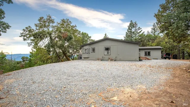 a view of a forest with a tree