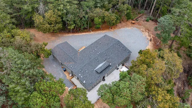 a view of a forest with a lush green forest