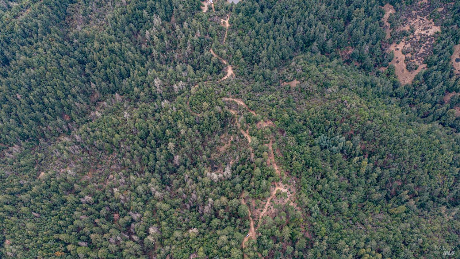 505 McNair Road Cloverdale, CA 95425 - Photo 52 of 55 a view of a forest with a tree