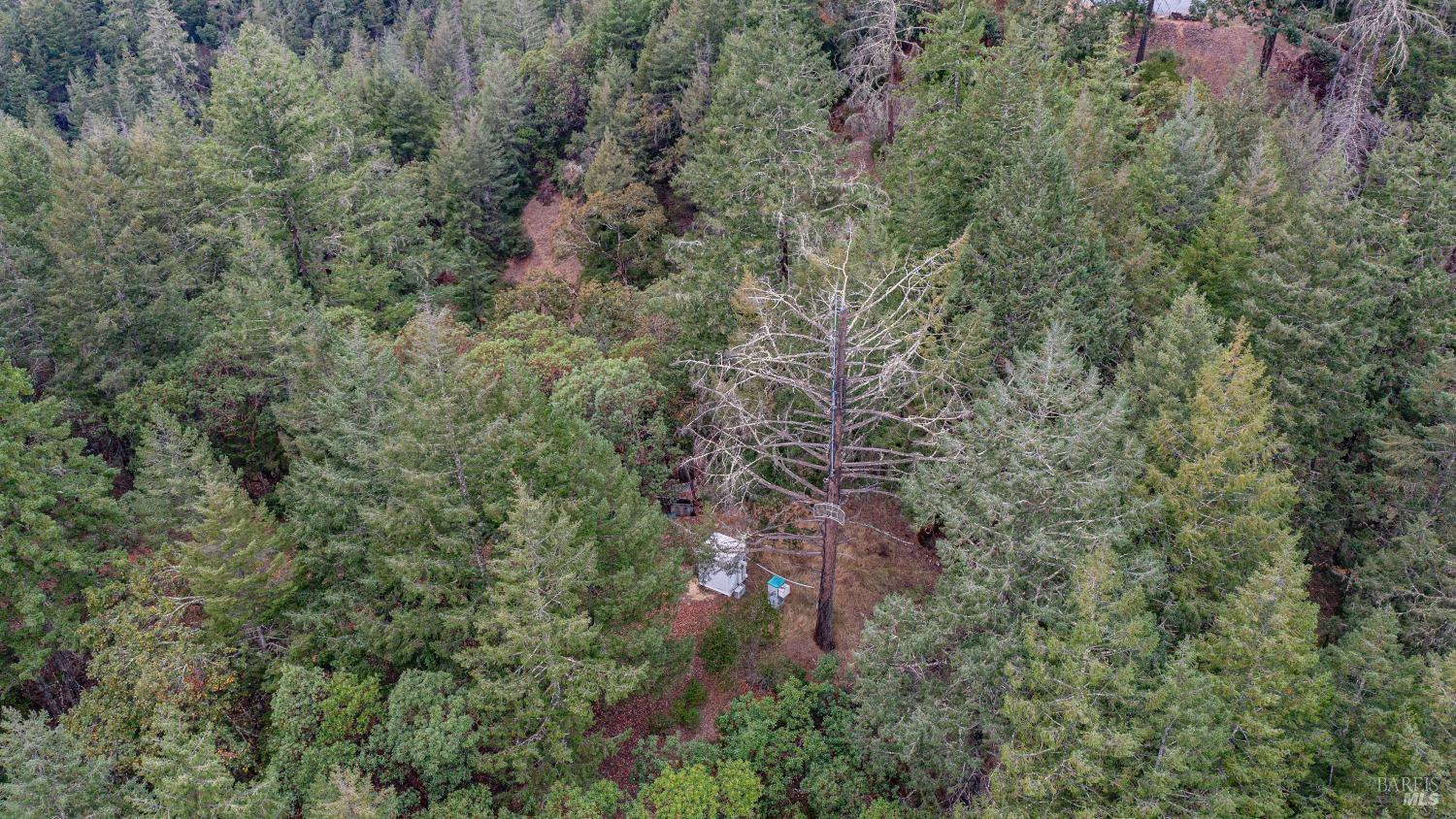 505 McNair Road Cloverdale, CA 95425 - Photo 54 of 58 an aerial view of residential house with outdoor space and trees all around