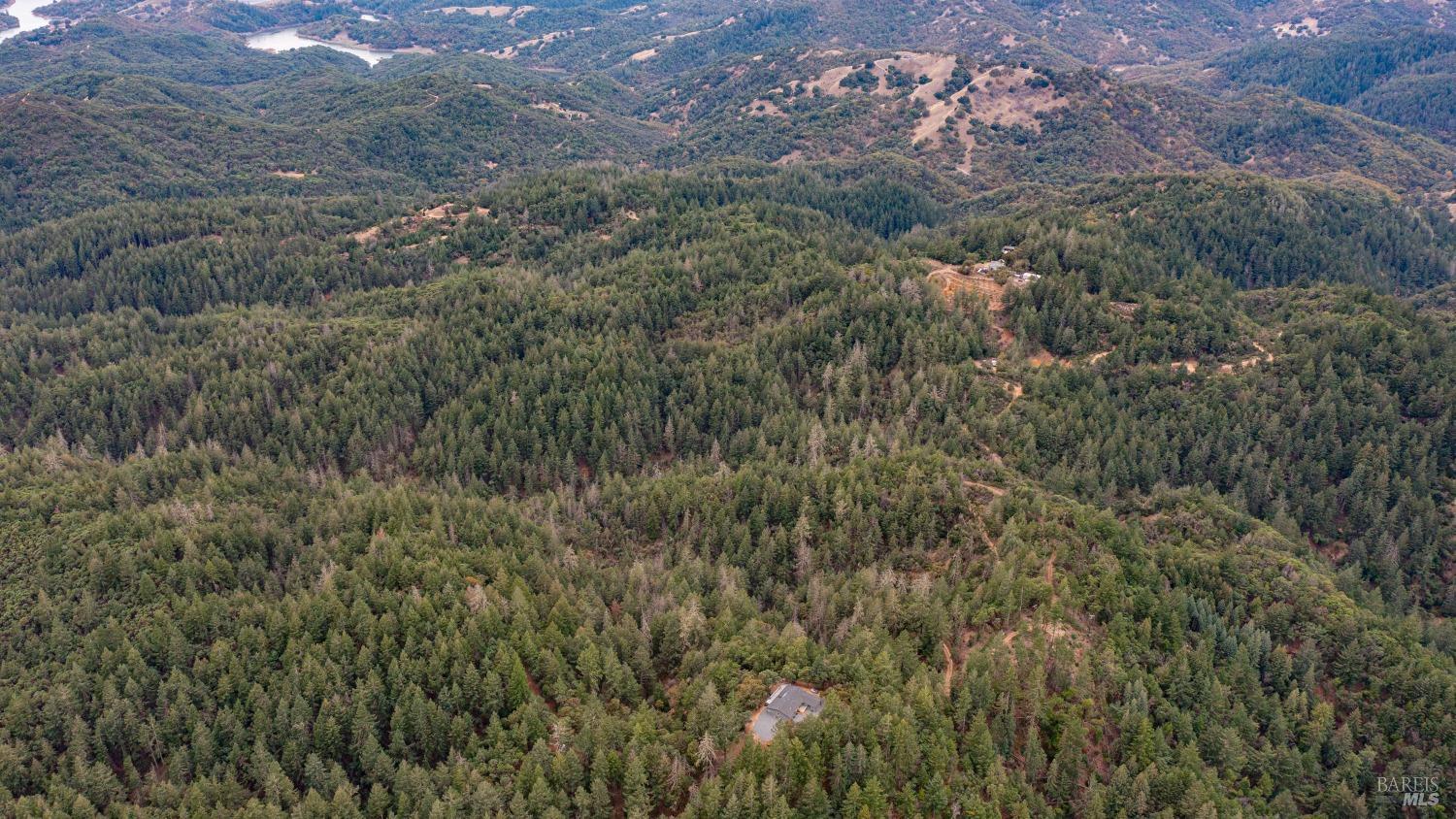 505 McNair Road Cloverdale, CA 95425 - Photo 56 of 58 a view of a forest with a lush green forest